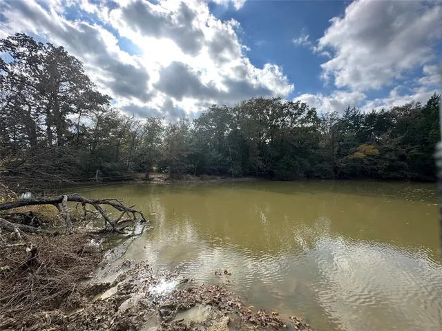 a view of backyard with green space
