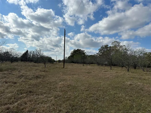 a view of a forest with trees