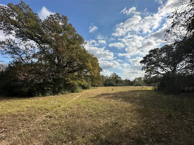 a view of a yard with a tree