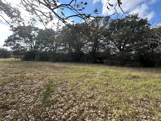a view of backyard with green space
