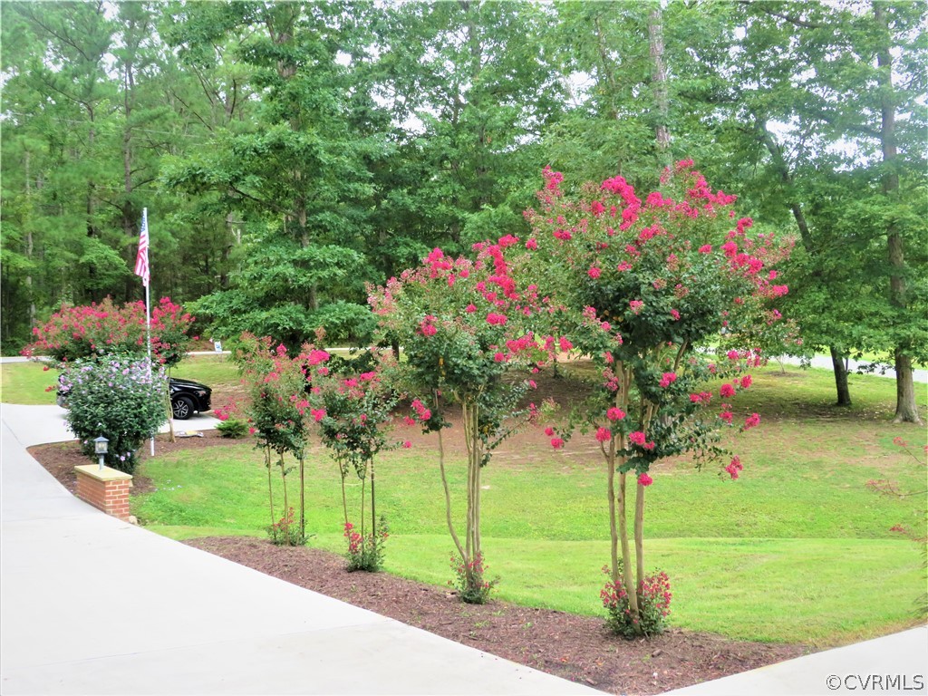 13440 Spring Run Road Midlothian, VA 23112 - Photo 7 of 23