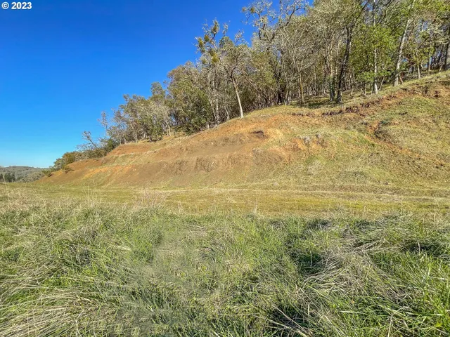 a view of a yard with trees and a wooden fence