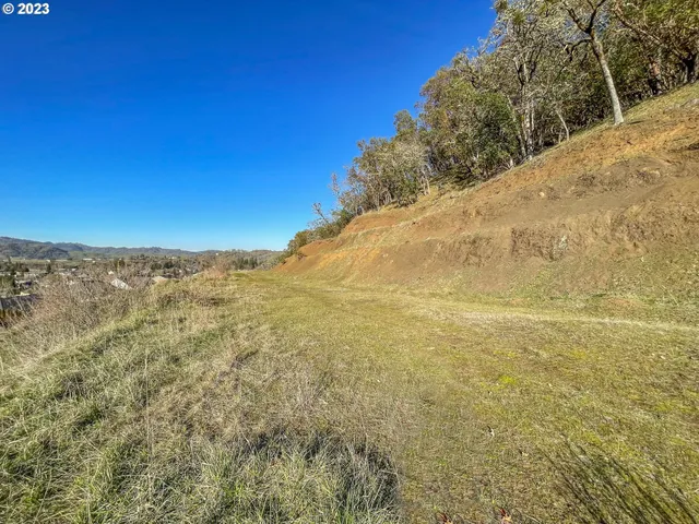 a view of a dry yard with trees in the background