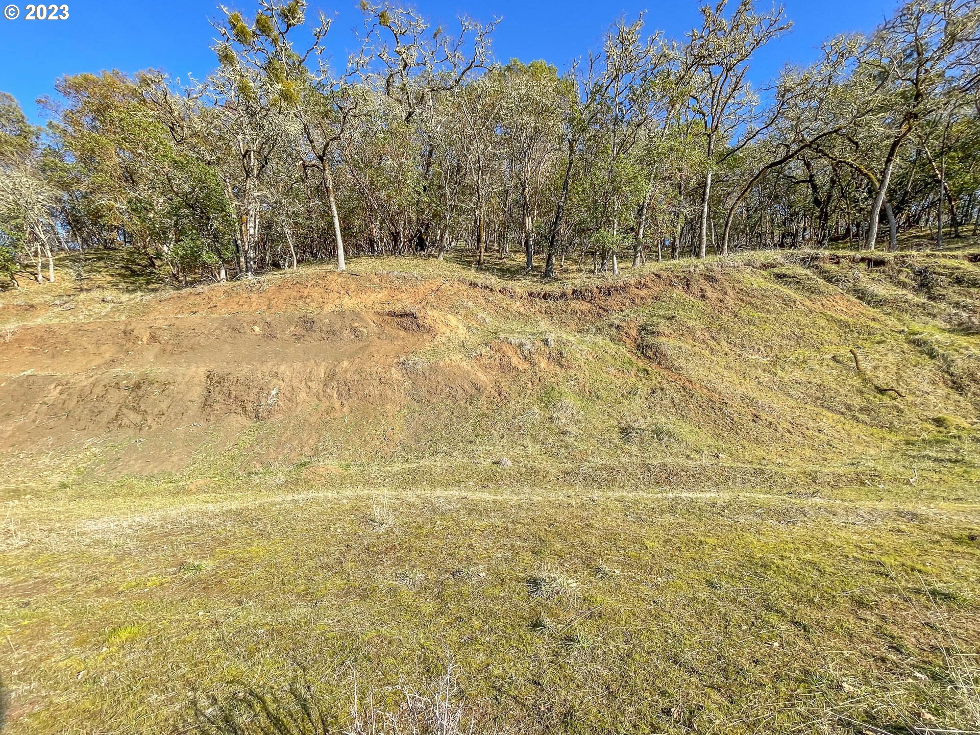 675 North View Drive Winchester, OR 97495 - Photo 3 of 7 a view of a yard with trees in the background