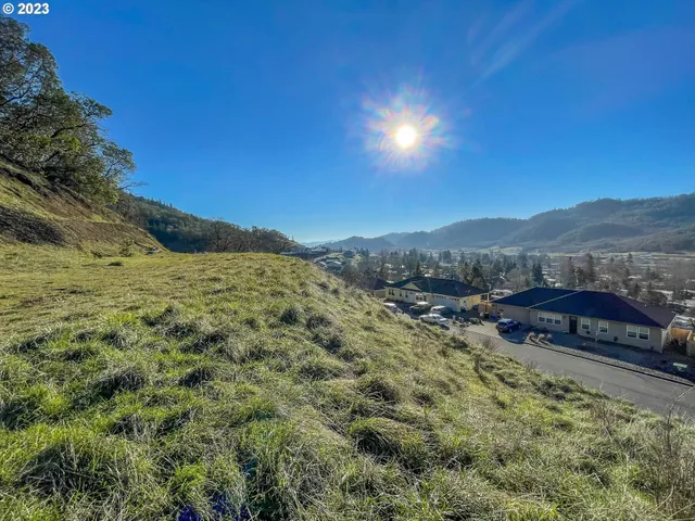 a view of an outdoor space and a yard