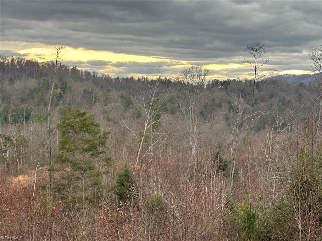 2001 Tom Dula Road Ferguson, NC 28624 - Photo 14 of 22