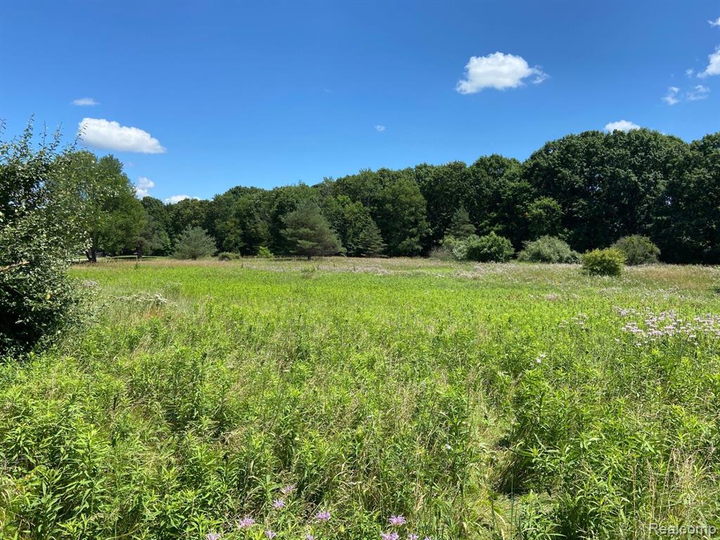 0 Alexander Drive Howell, MI 48855 - Photo 1 of 3