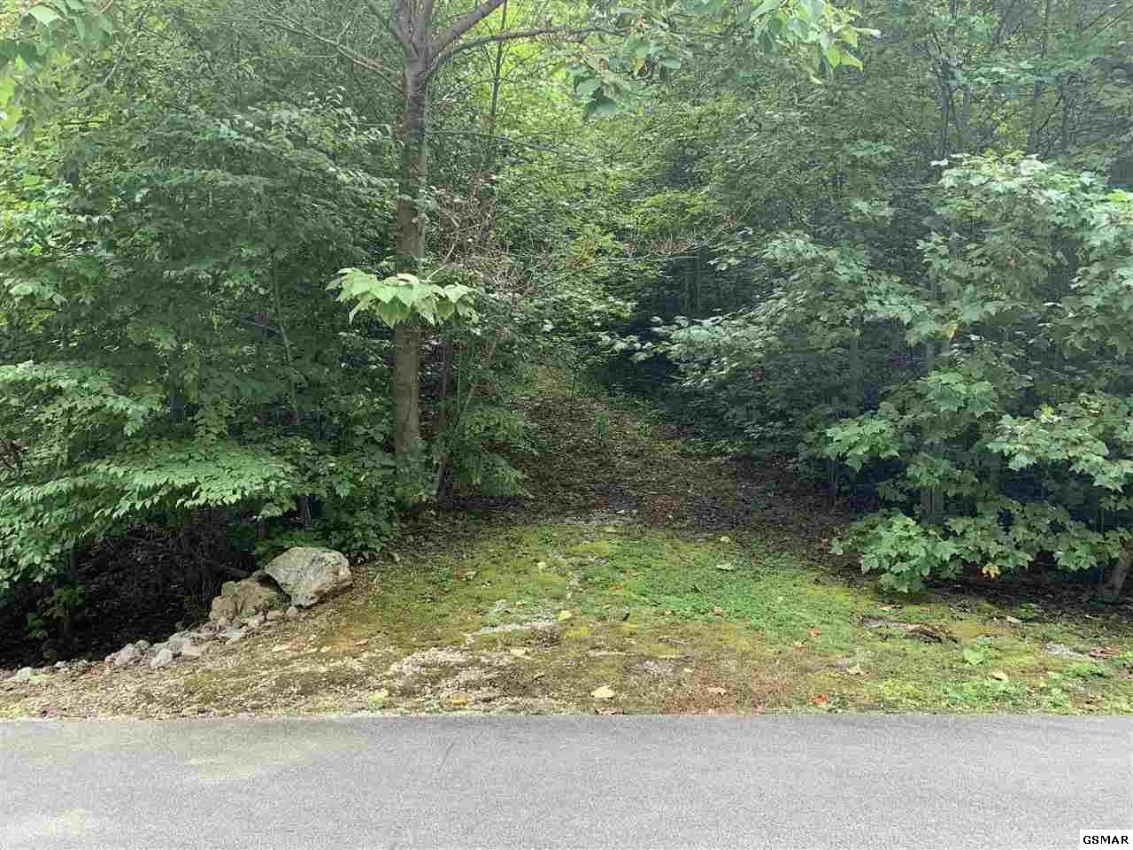 120 Long Rifle Road Sevierville, TN 37862 - Photo 1 of 11 Gallery Image 1
