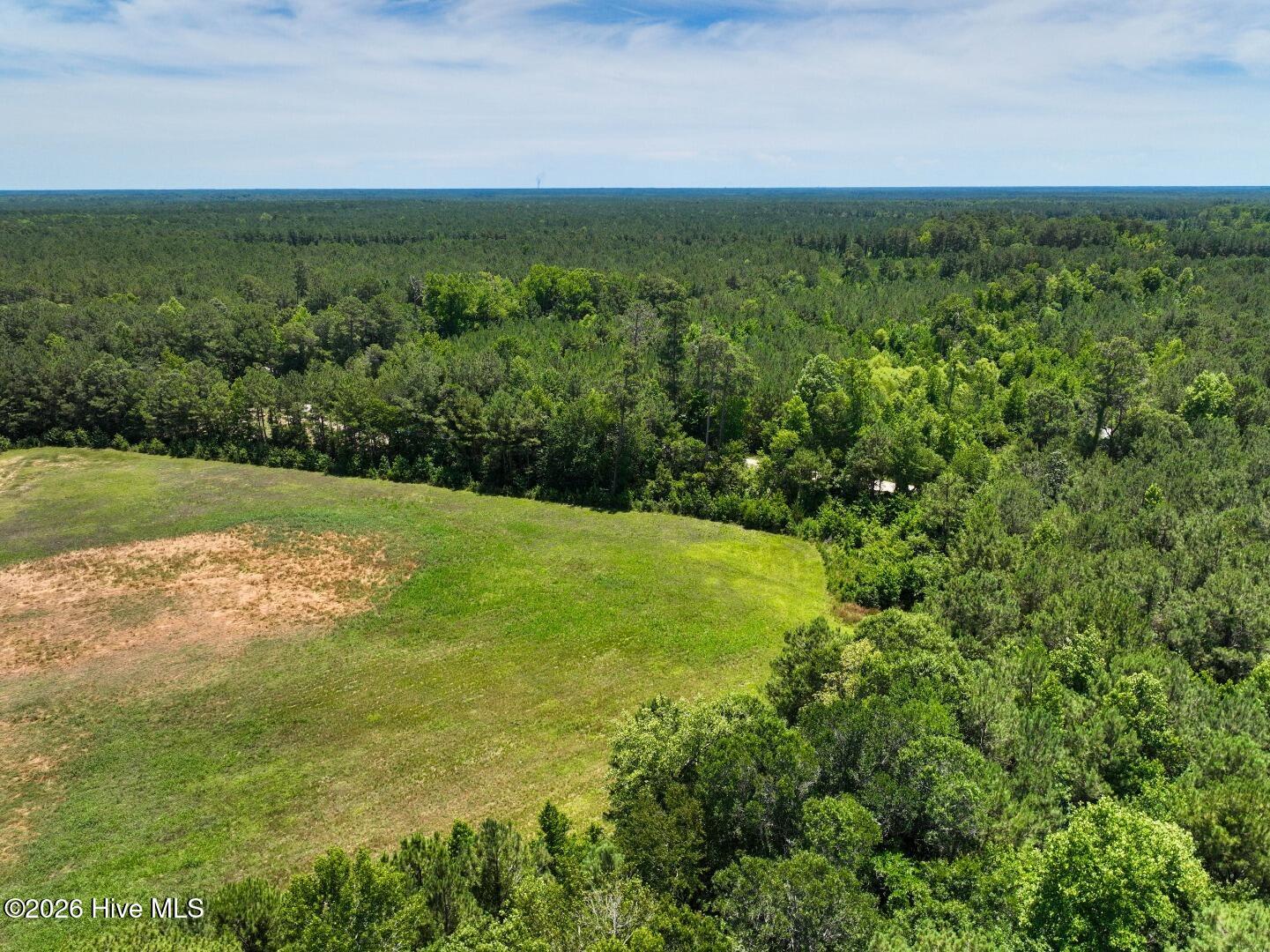 0 Rooks Road Atkinson, NC 28421 - Photo 16 of 117