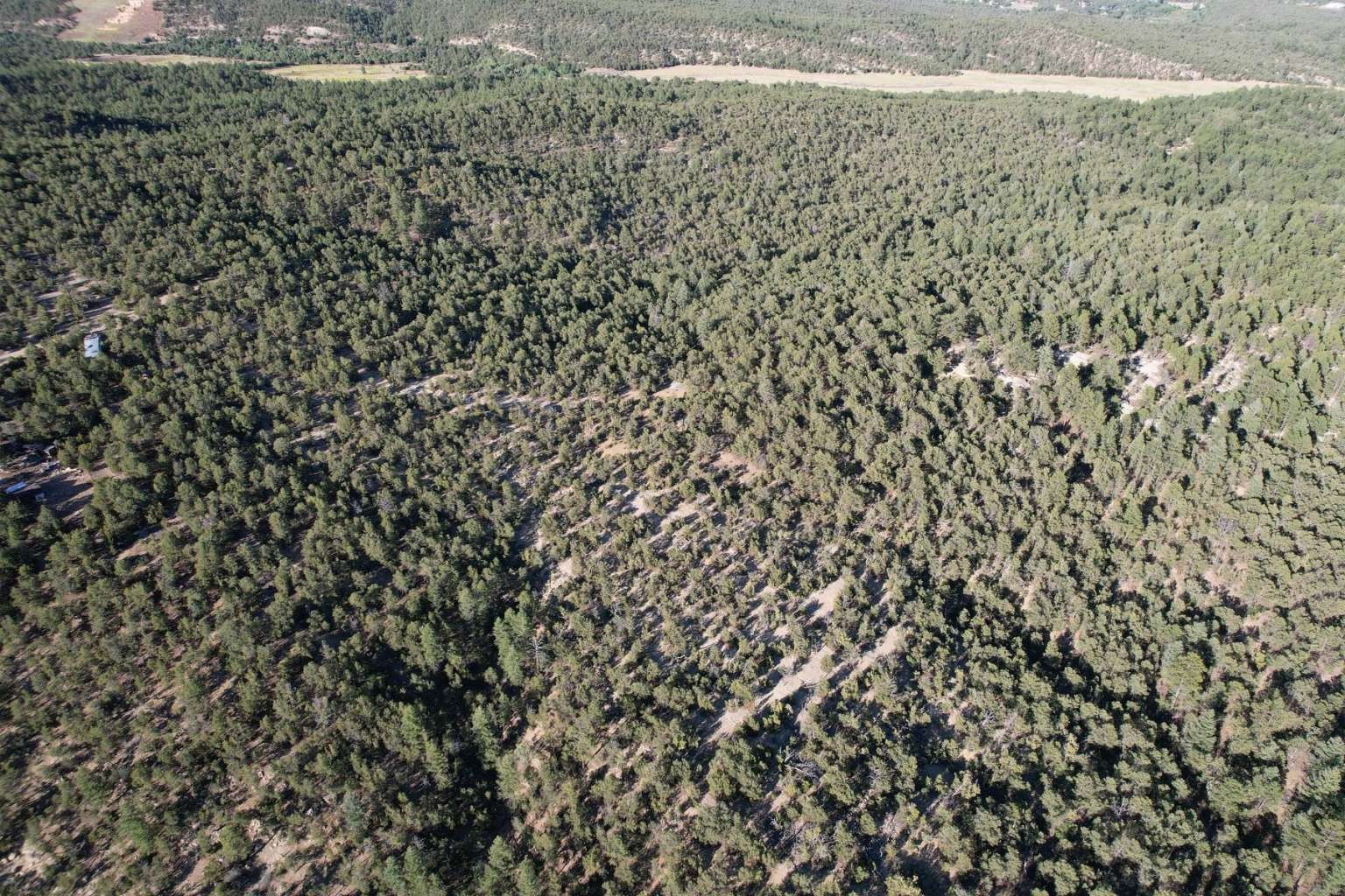 0 Pinon Ridge Road Pecos, NM 87552 - Photo 21 of 39