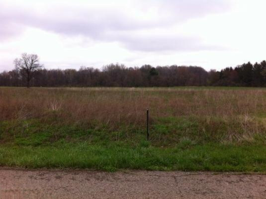 Weiser Road Niles, MI 49120 - Photo 1 of 1 Primary Photo