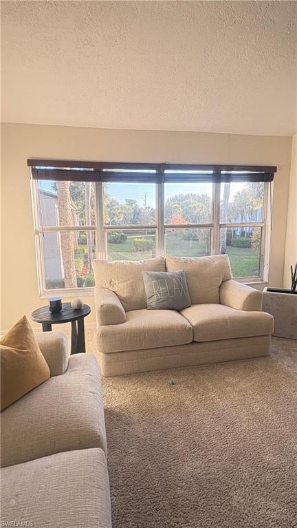 4120 Looking Glass Lane, Unit 3708 Naples, FL 34112 - Photo 7 of 25 Living area with a textured ceiling and carpet floors
