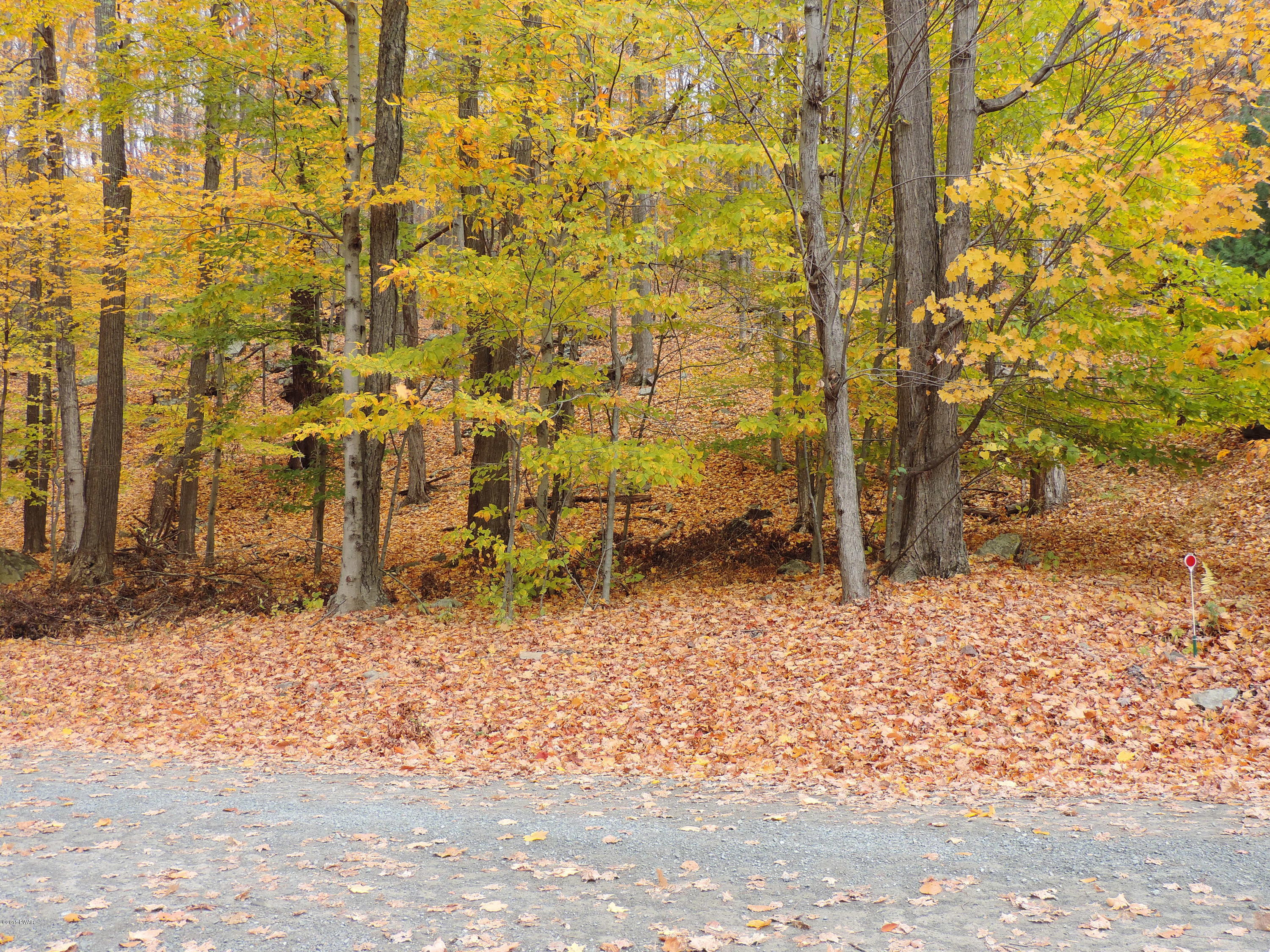 Lot 79 Lennon Road Greentown, PA 18426 - Photo 4 of 7 Gallery Image 4