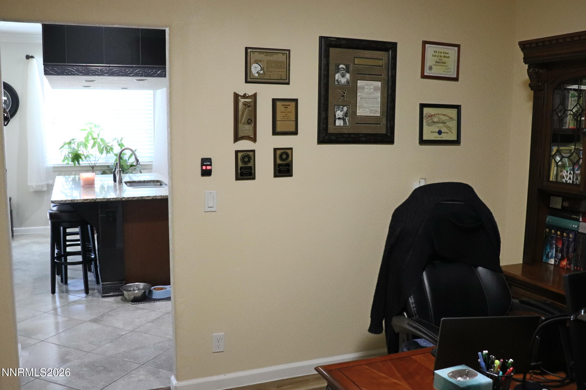 10843 Pebble Hill Drive Reno, NV 89521 - Photo 8 of 40 IMG_1889