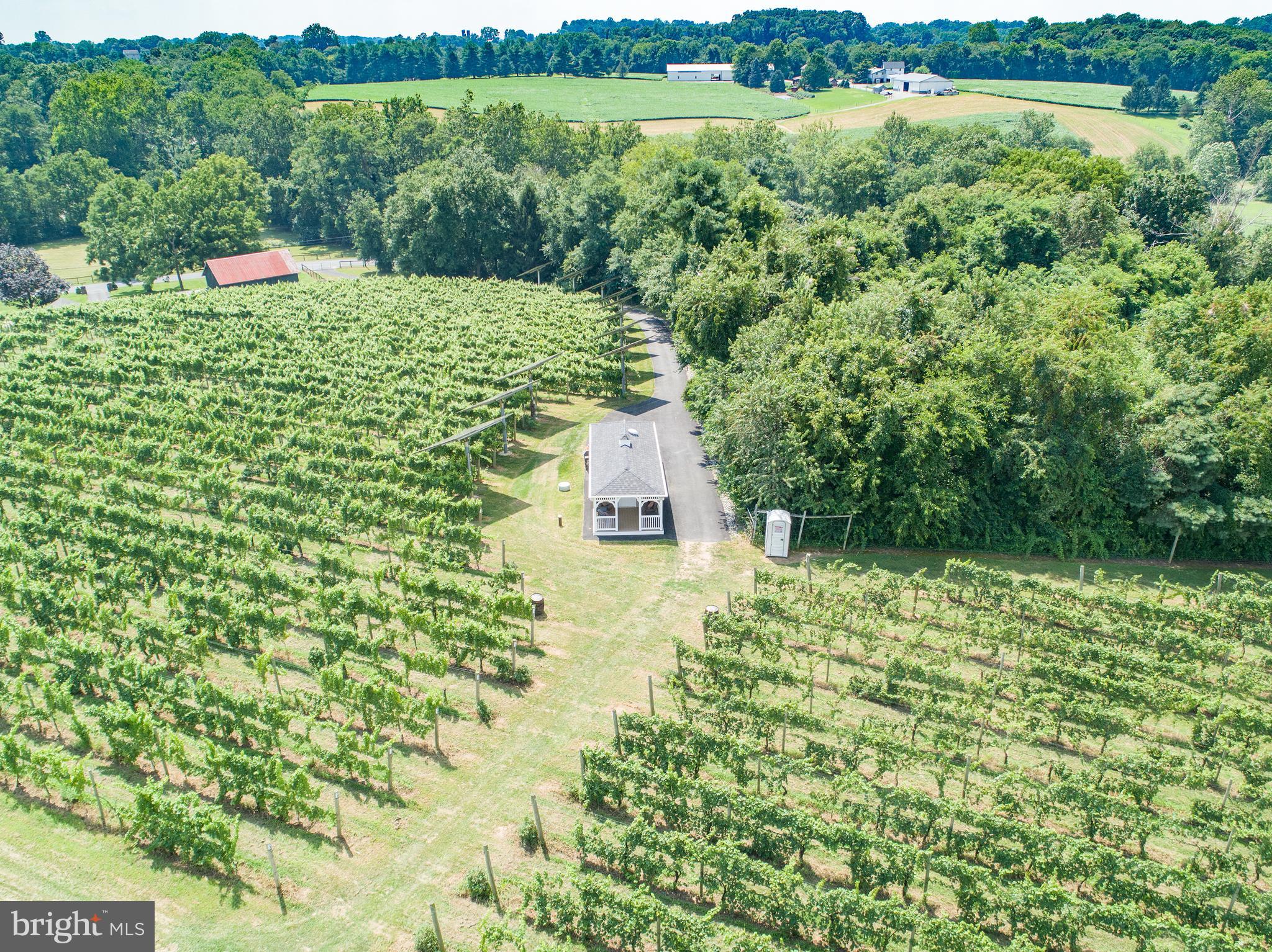 110 Lower Hopewell Road Oxford, PA 19363 - Photo 22 of 28 Vineyard