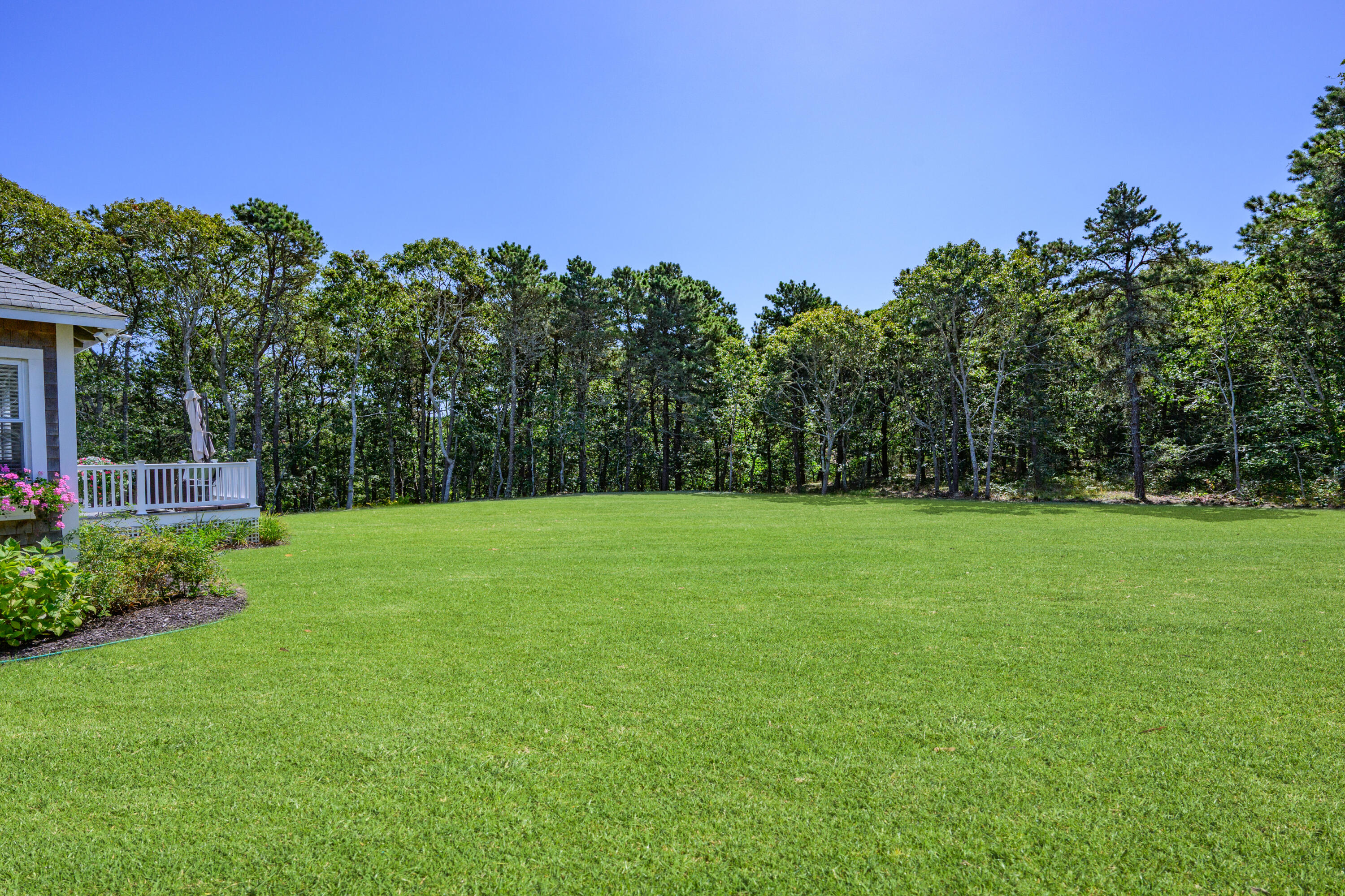 79 Forest Beach Road South Chatham, MA 02659 - Photo 35 of 60 a view of a garden with trees