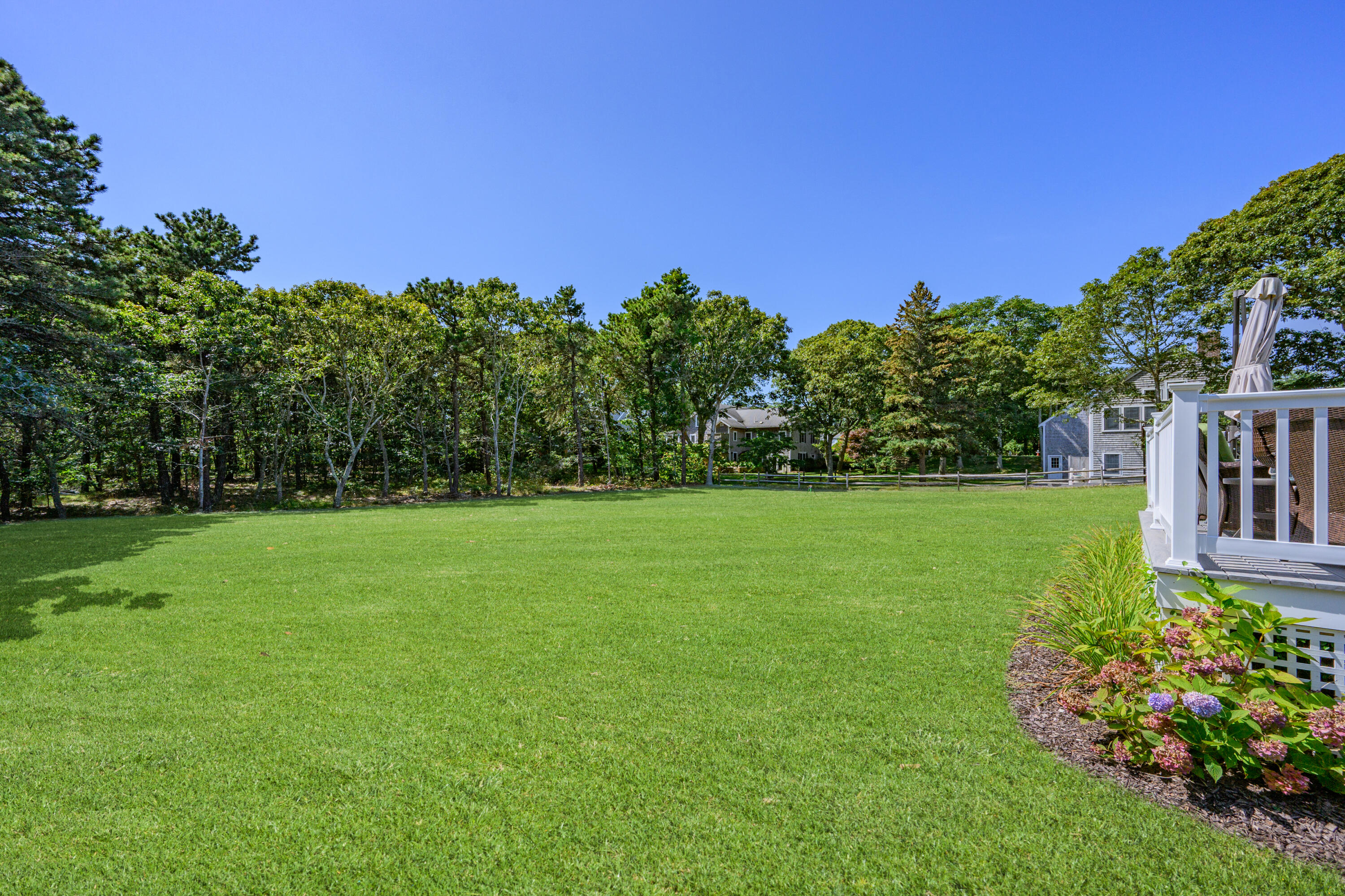 79 Forest Beach Road South Chatham, MA 02659 - Photo 36 of 60 a view of a garden with a building in the background