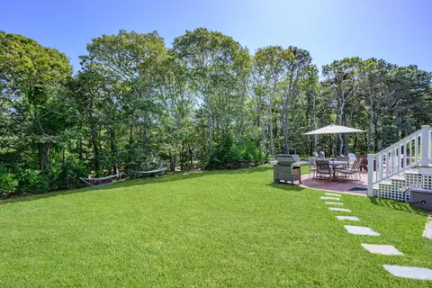 a view of a backyard with trees