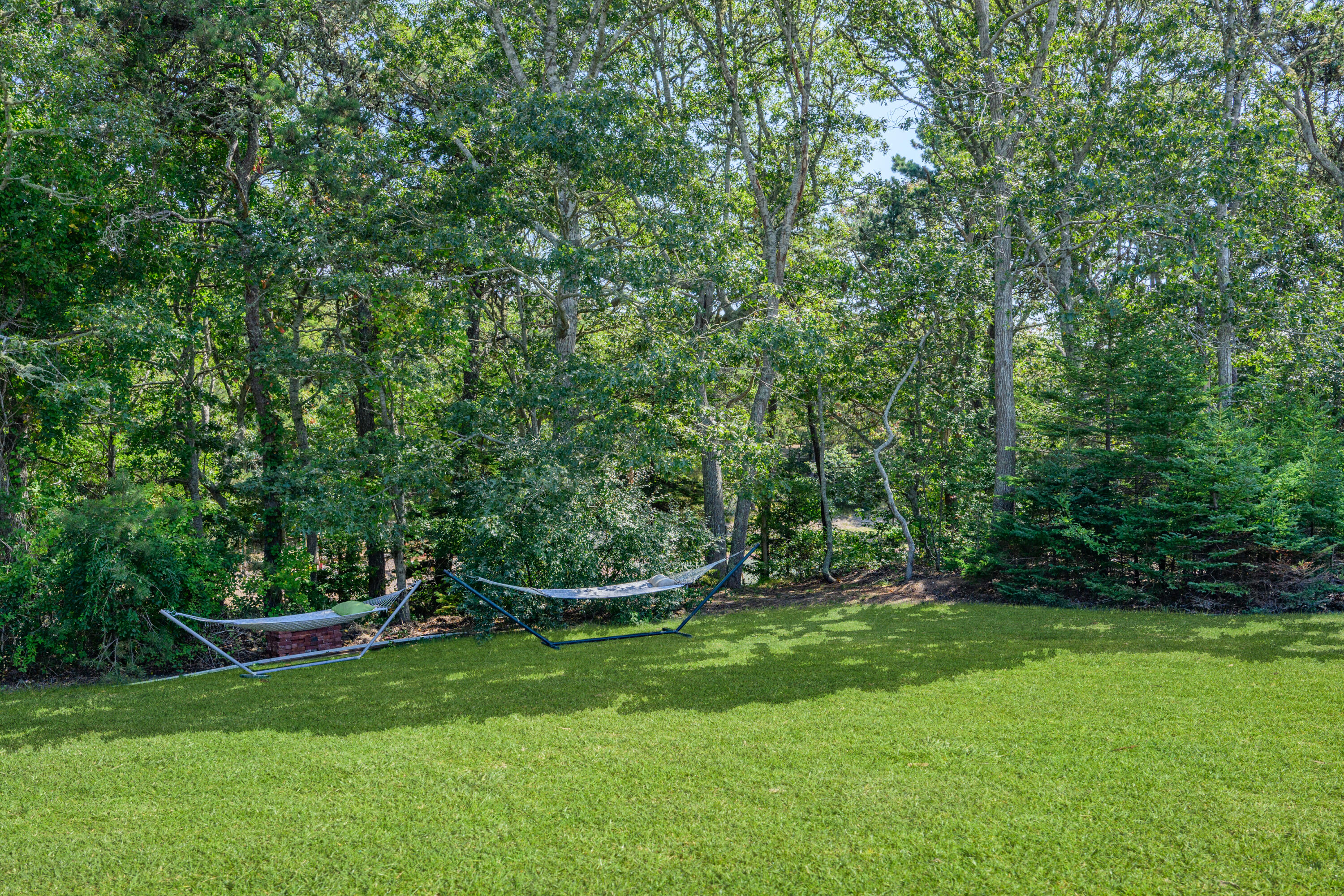 79 Forest Beach Road South Chatham, MA 02659 - Photo 45 of 60 a view of a backyard with a garden
