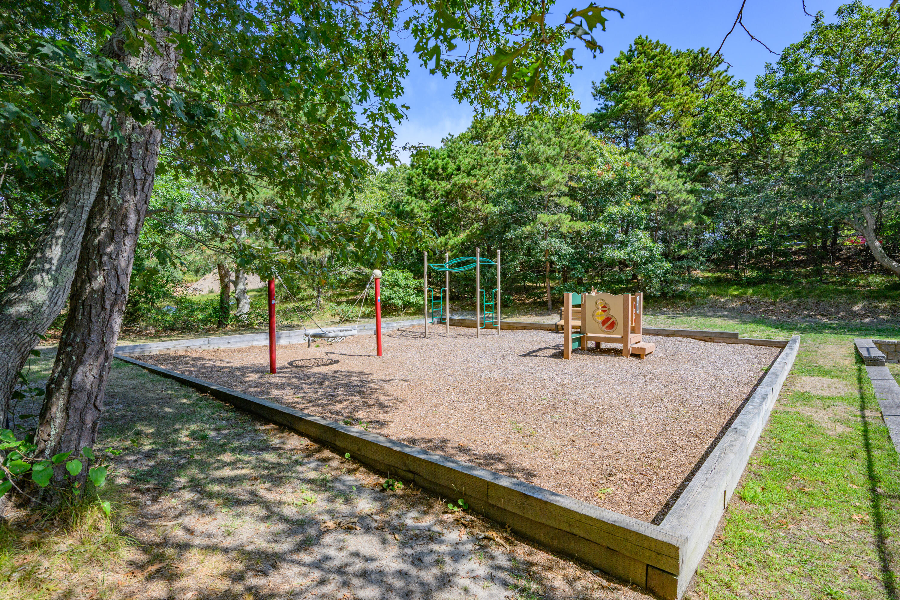 79 Forest Beach Road South Chatham, MA 02659 - Photo 50 of 60 a view of a backyard with trees