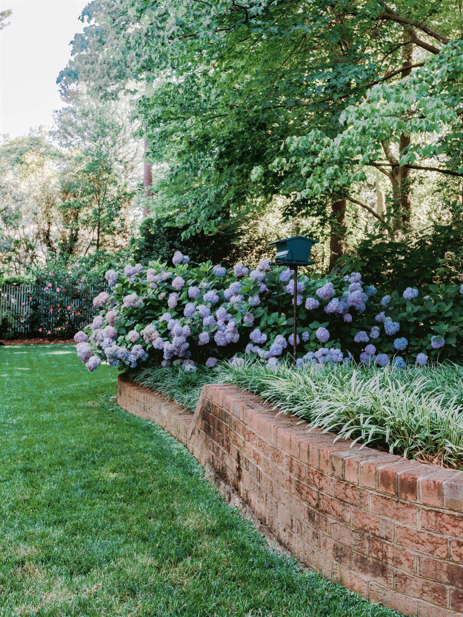 6928 Slade Hill Road Raleigh, NC 27615 - Photo 41 of 46 Backyard