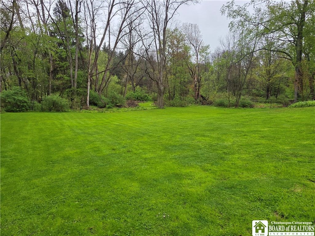 6386 County Touring Rte 54 Chautauqua, NY 14757 - Photo 10 of 49 The property is nearly 1 acre!