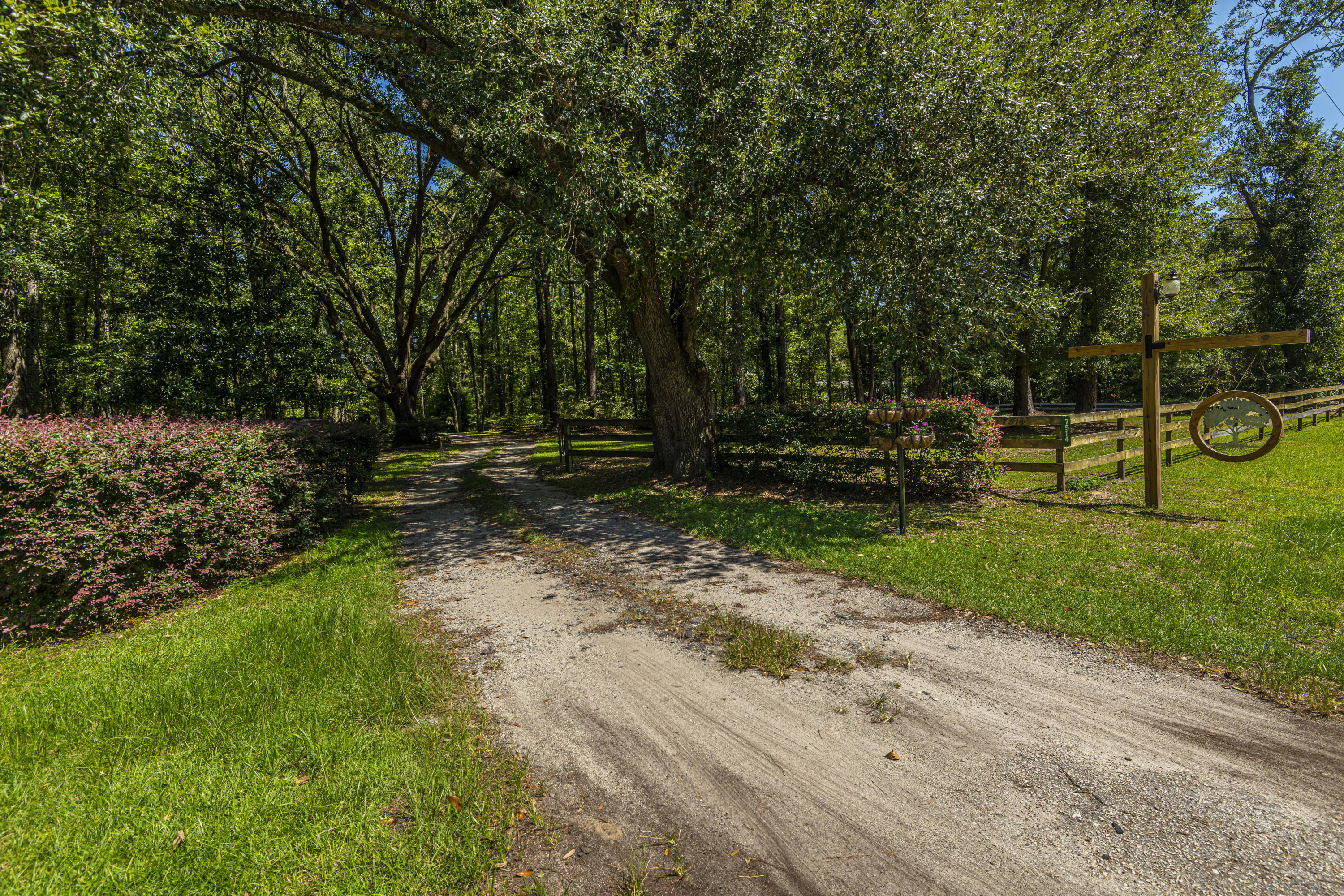 7514 Jacksonboro Road Round O, SC 29474 - Photo 3 of 59 by the road