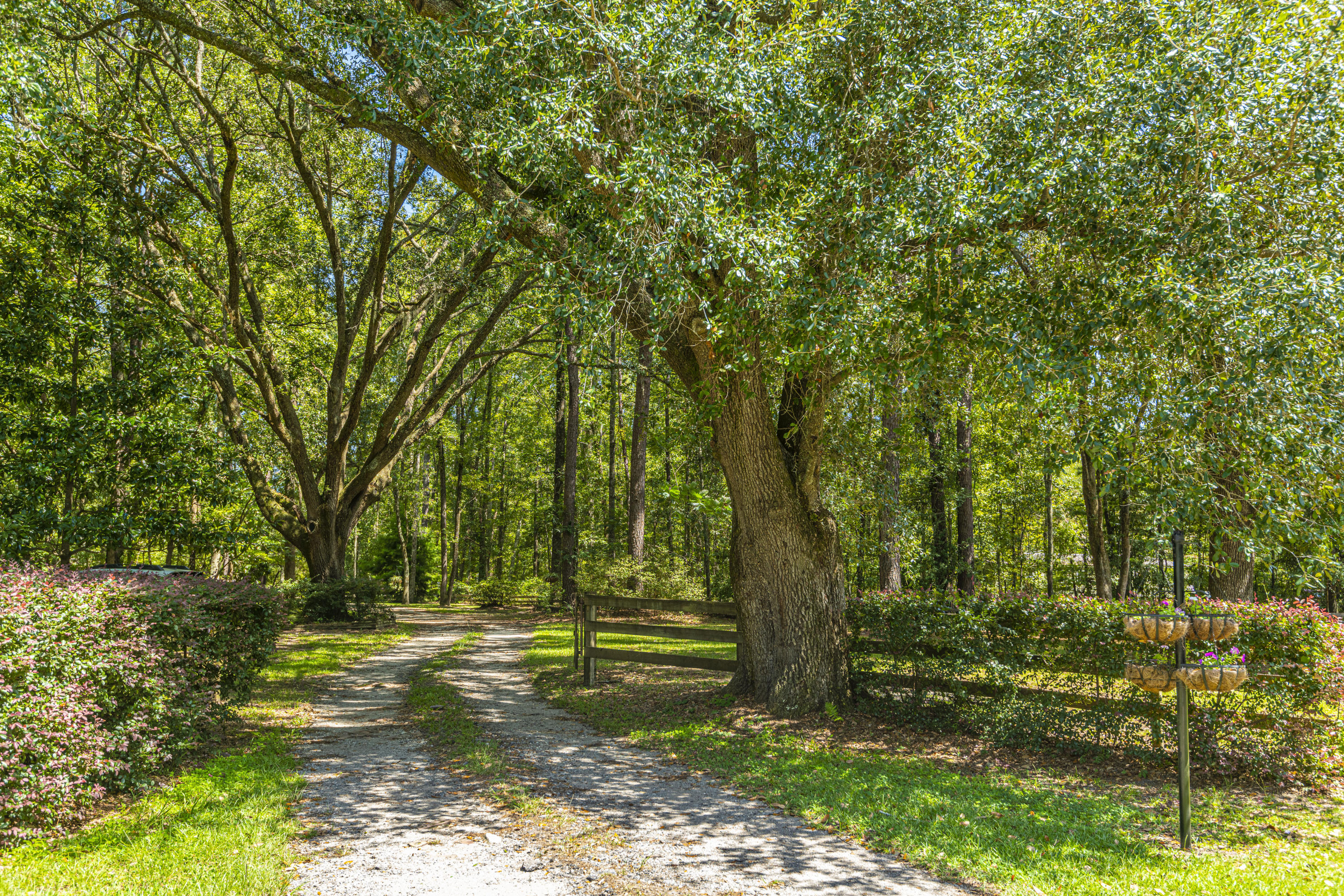 7514 Jacksonboro Road Round O, SC 29474 - Photo 4 of 59 DSC_4331