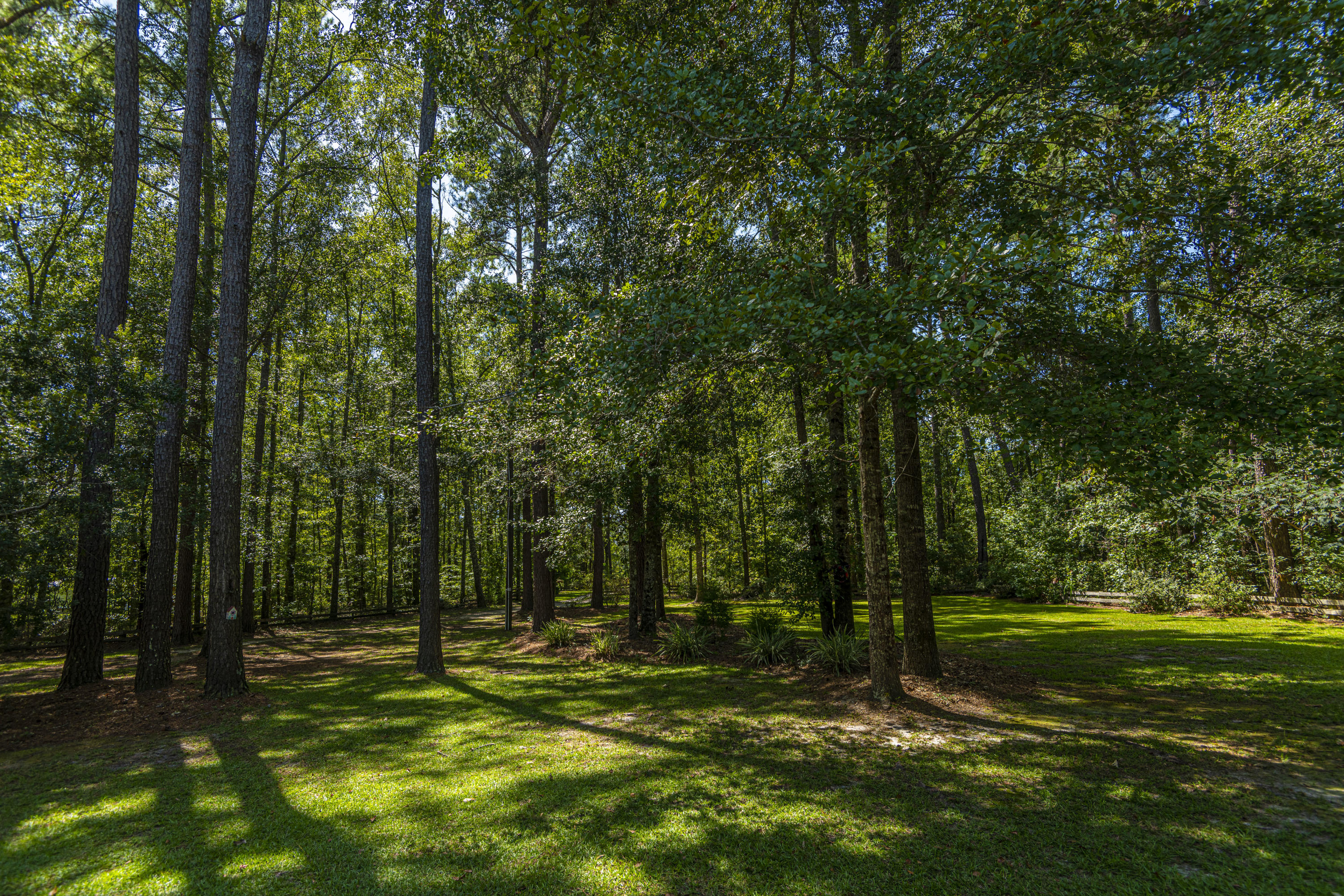 7514 Jacksonboro Road Round O, SC 29474 - Photo 38 of 59 DSC_4352