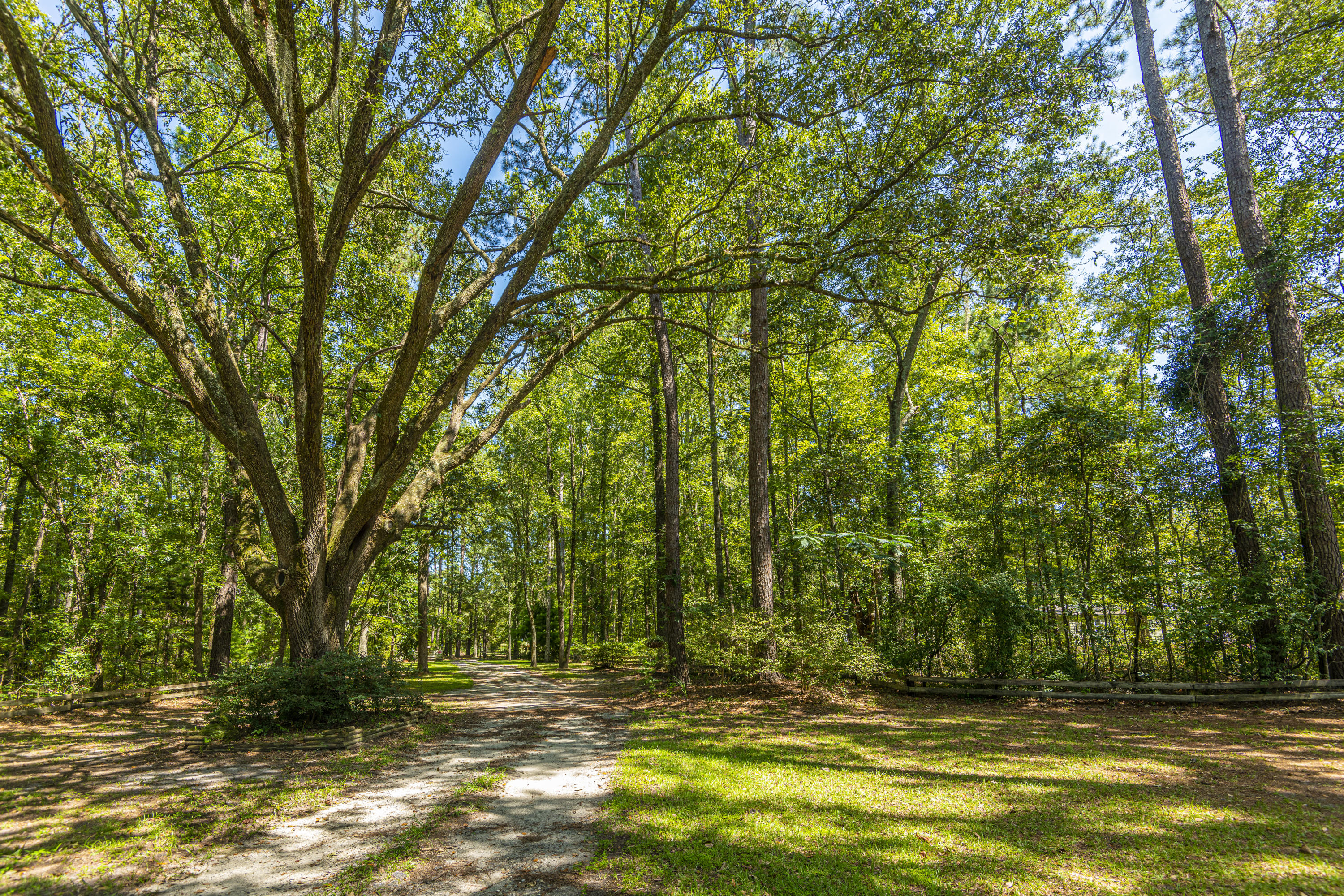 7514 Jacksonboro Road Round O, SC 29474 - Photo 5 of 59 DSC_4333