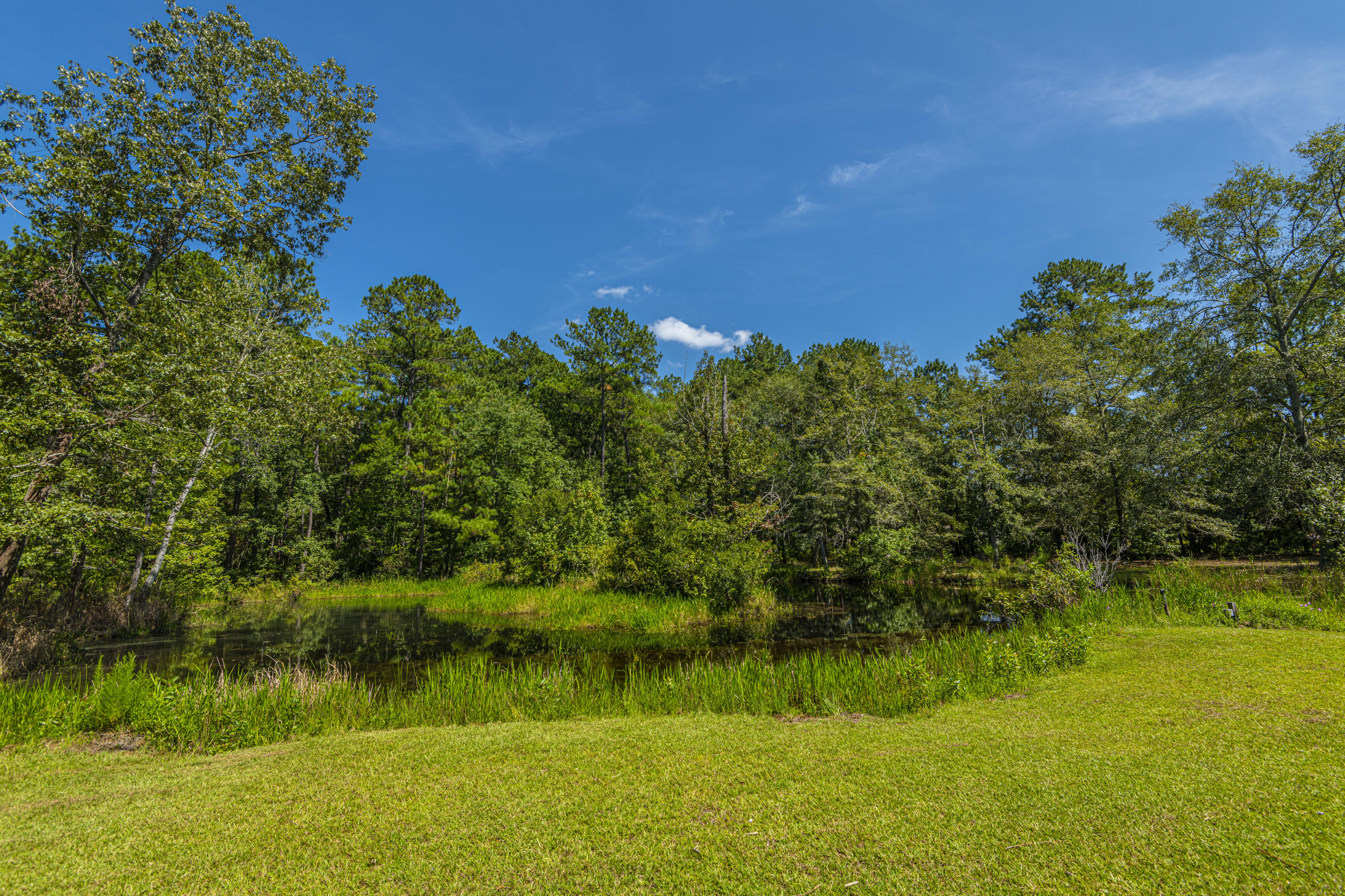 7514 Jacksonboro Road Round O, SC 29474 - Photo 46 of 59 pond
