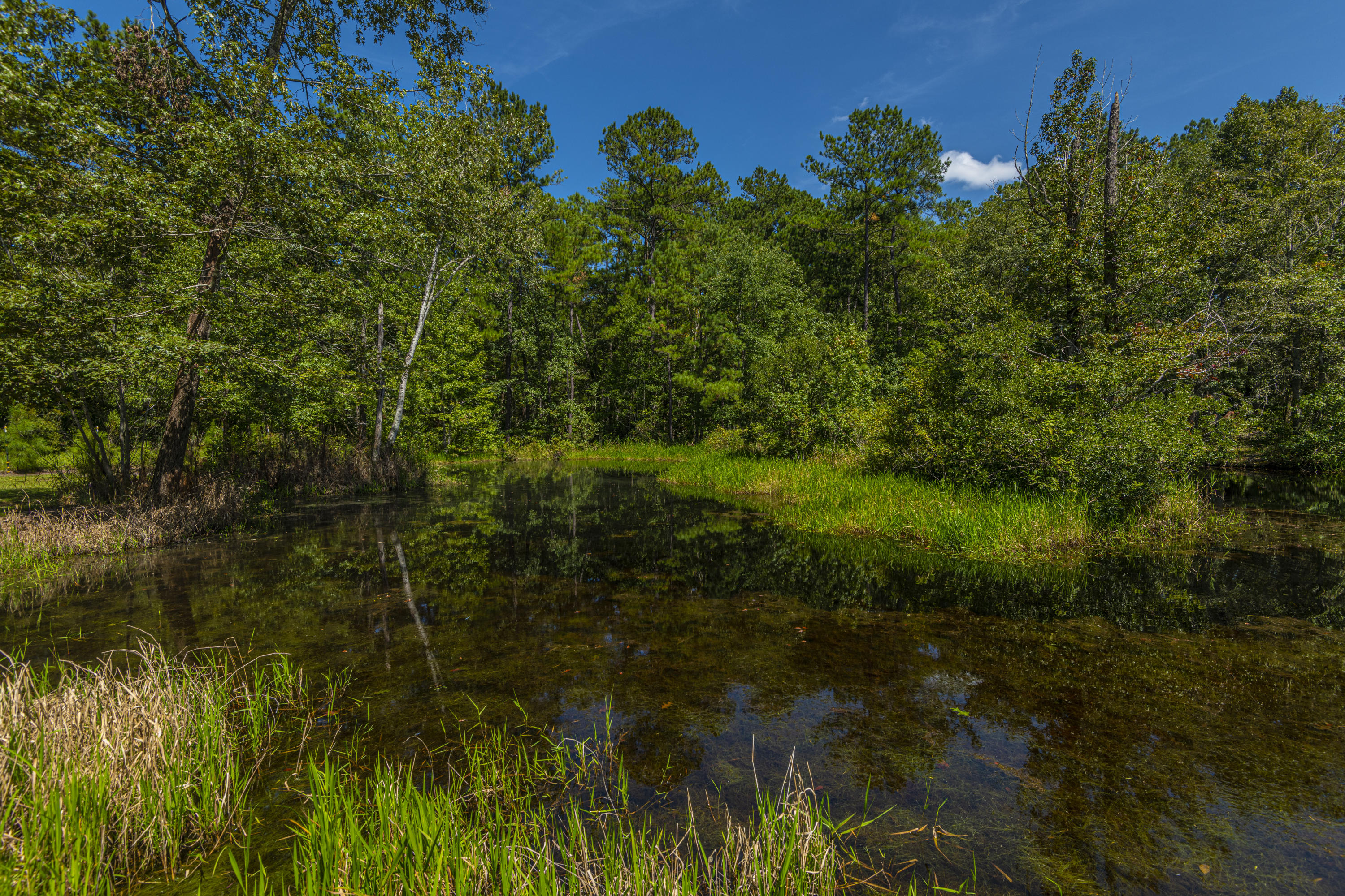 7514 Jacksonboro Road Round O, SC 29474 - Photo 47 of 59 close pond