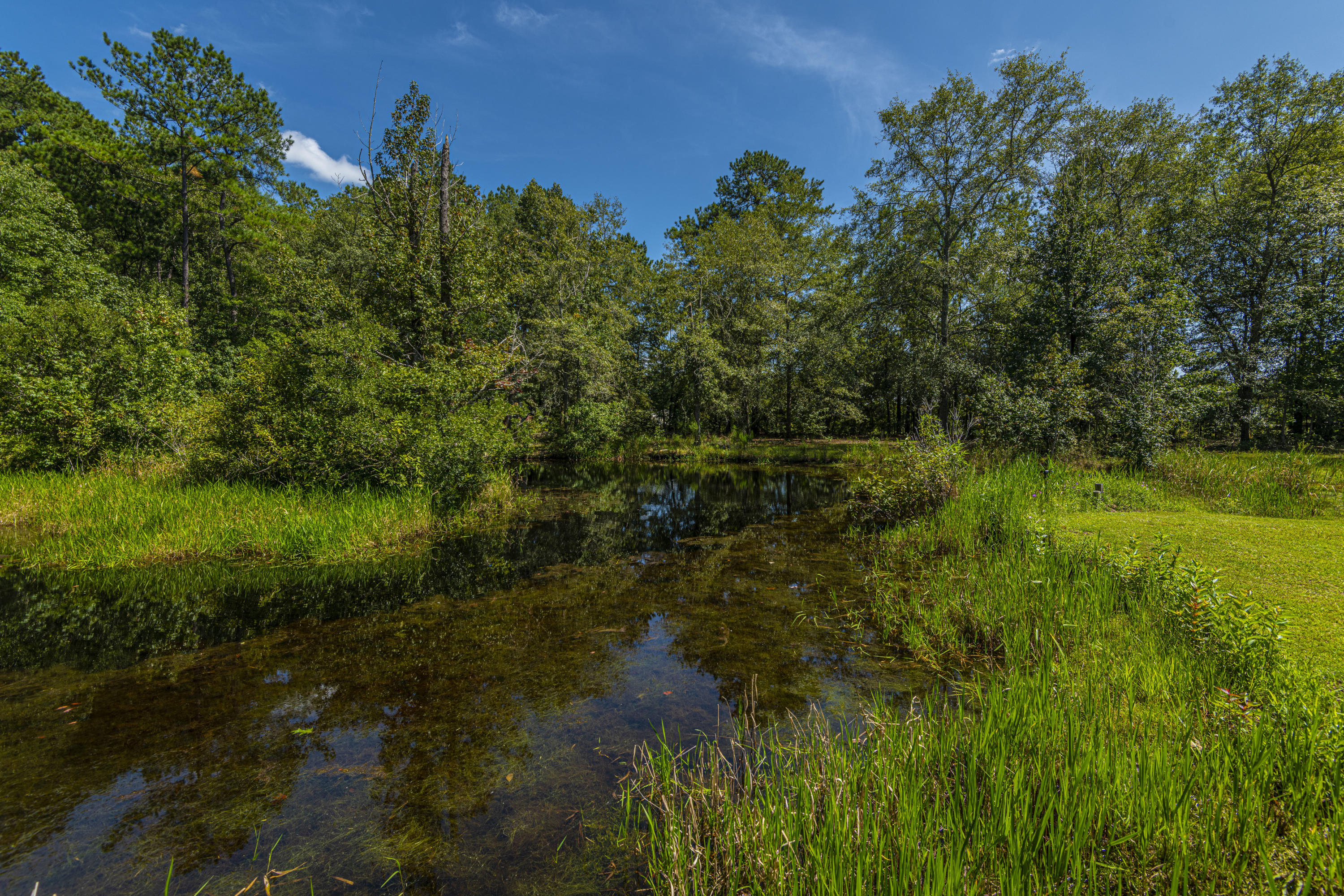 7514 Jacksonboro Road Round O, SC 29474 - Photo 48 of 59 more pond