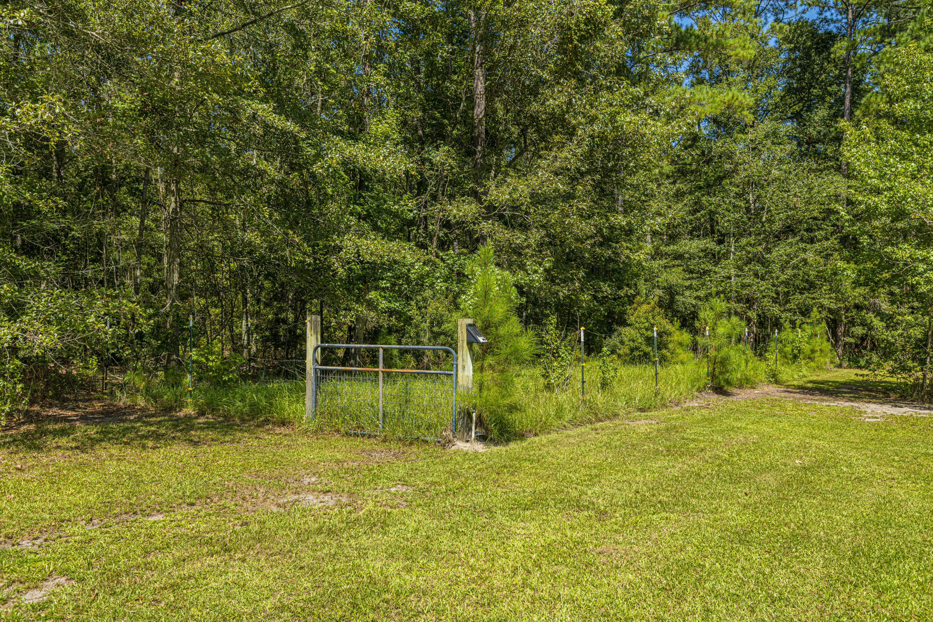 7514 Jacksonboro Road Round O, SC 29474 - Photo 49 of 59 garden