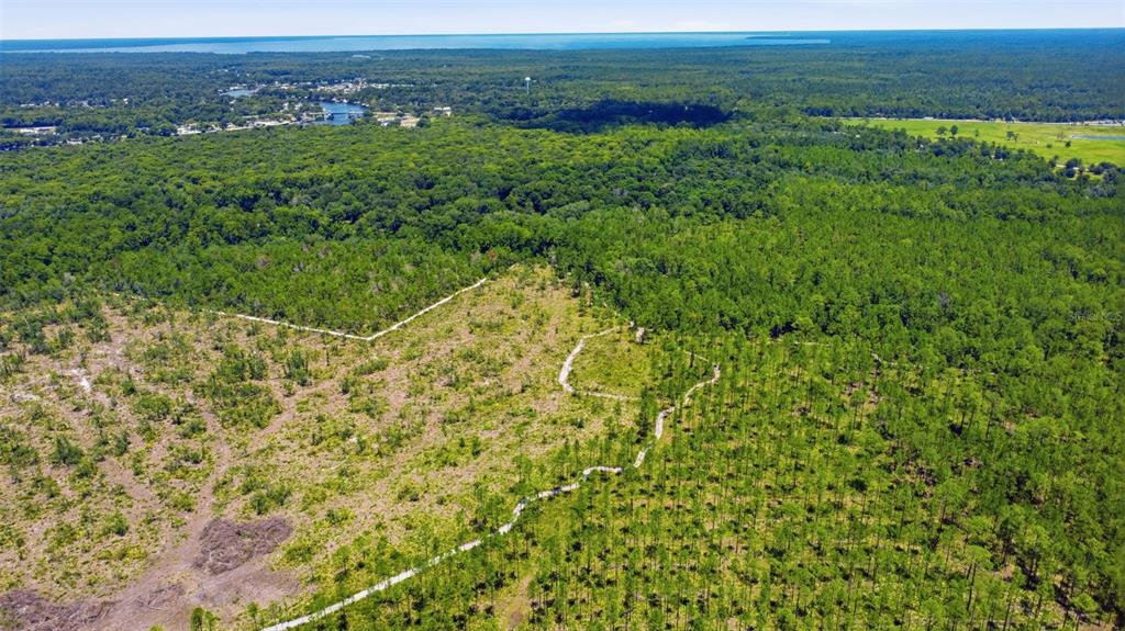 2140 St Johns River Road Astor, FL 32102 - Photo 33 of 36 a view of a field with an outdoor space