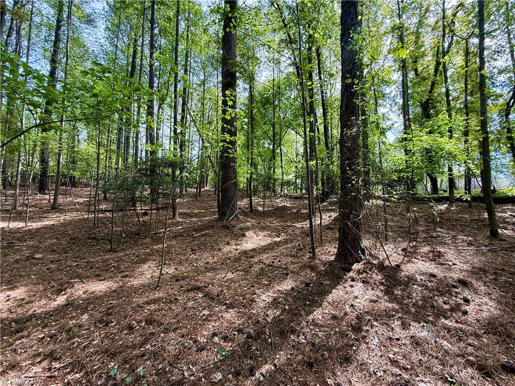 161 Greens Road Granite Falls, NC 28630 - Photo 4 of 38
