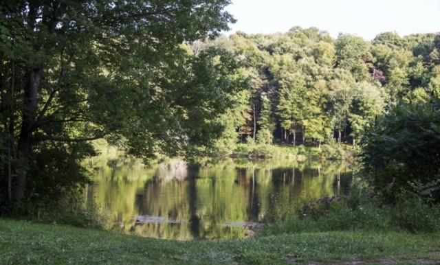 Reservoir Road New Milford, CT 06776 - Photo 1 of 1 a view of yard with green space