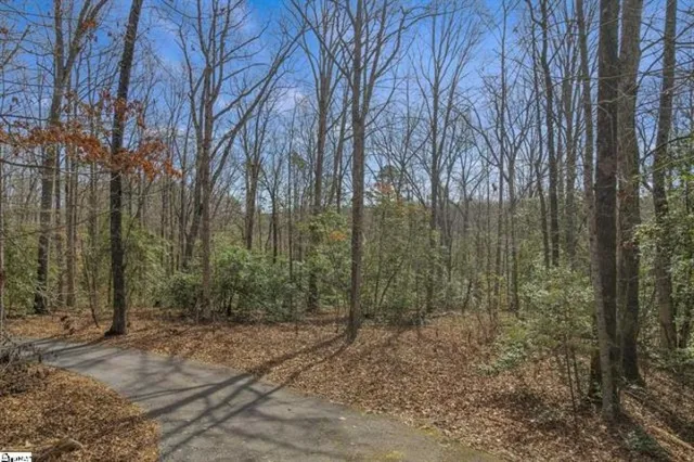 $140,000 | 0 Griffin Mill Road, Easley, SC 29640