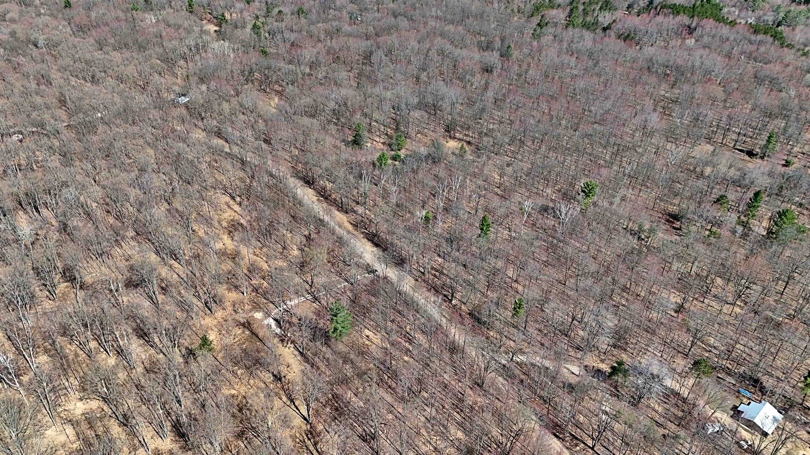 Vl 00 Cherry Hill Road Fife Lake, MI 49633 - Photo 20 of 21