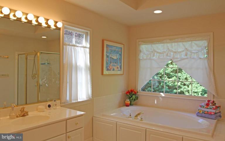 2640 Military Road Arlington, VA 22207 - Photo 18 of 19 Master Bath