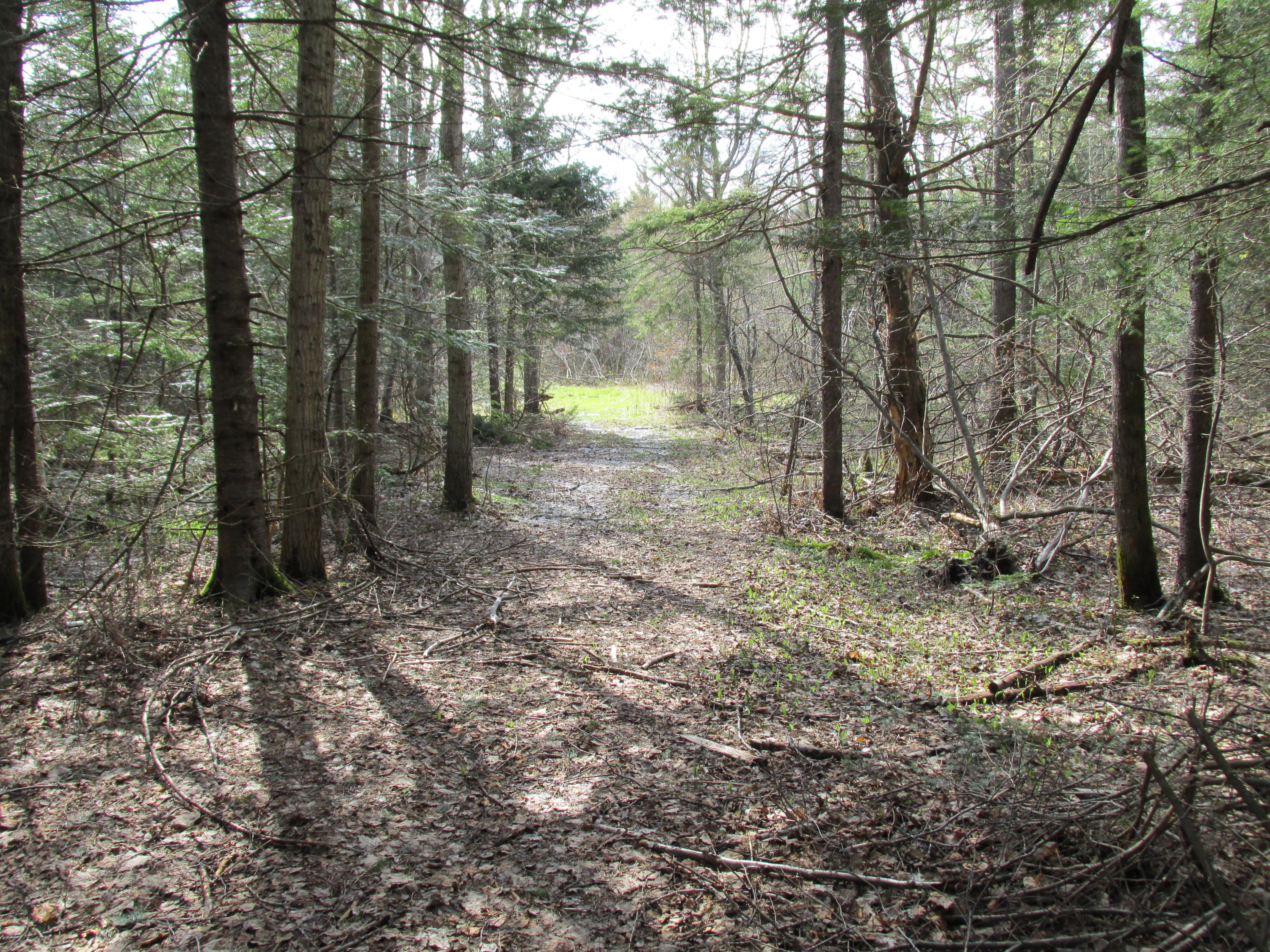 0 West 7 Mile Road Brimley, MI 49715 - Photo 3 of 12 Gallery Image 3
