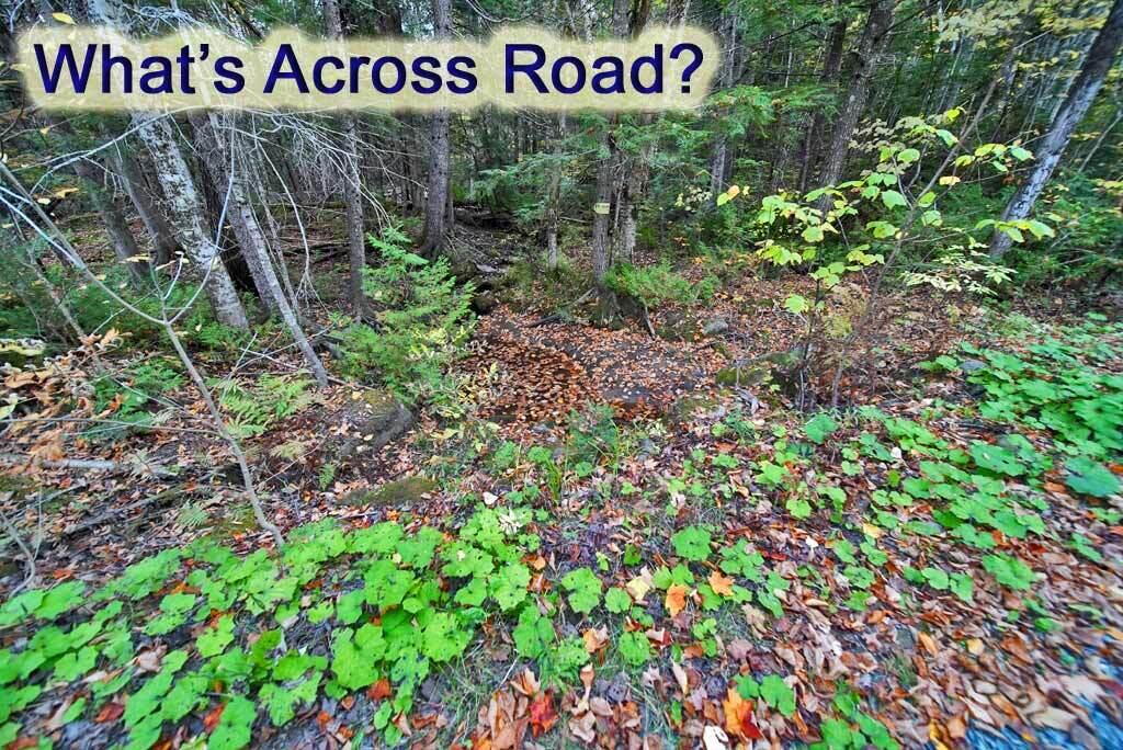 Lot 12 Winter Road Linneus, ME 04730 - Photo 12 of 38 land-across-road-st-scene