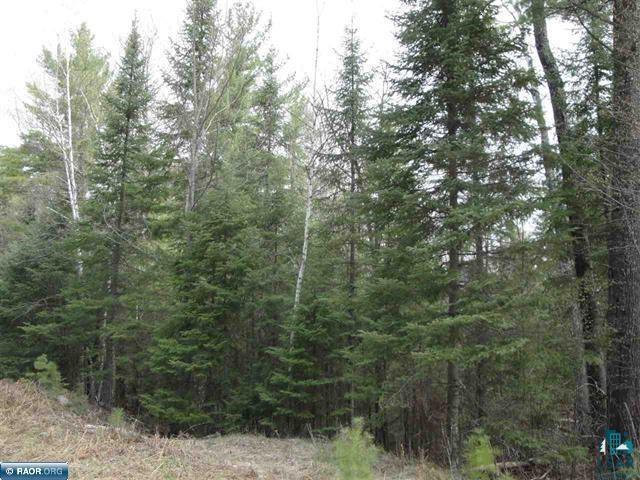 Tbd Swanson Shores Road Ely, MN 55731 - Photo 1 of 7
