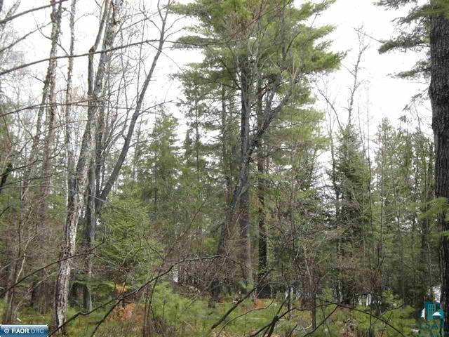 Tbd Swanson Shores Road Ely, MN 55731 - Photo 3 of 7