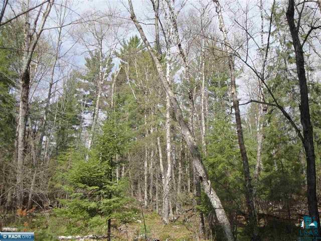 Tbd Swanson Shores Road Ely, MN 55731 - Photo 6 of 7