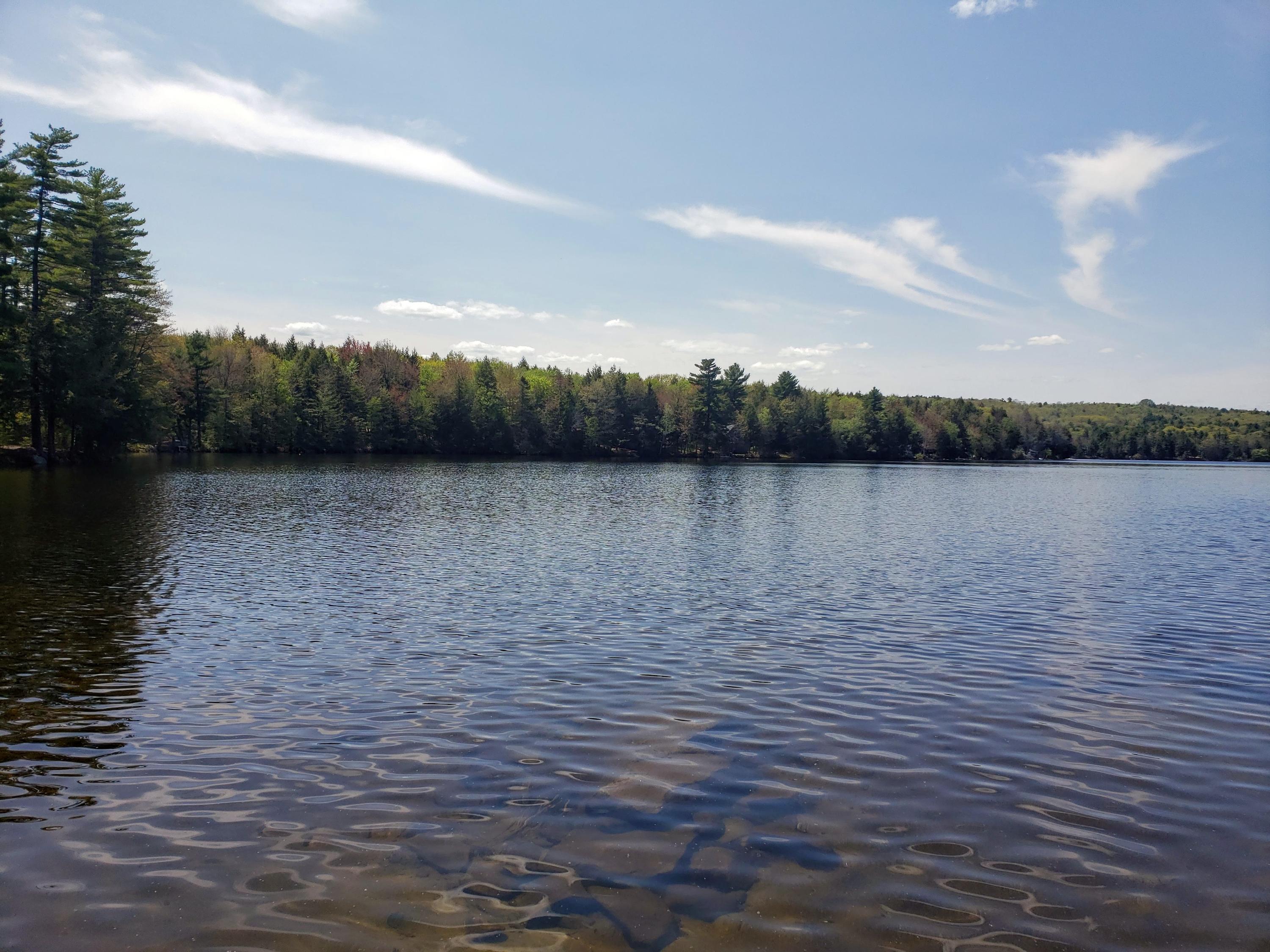 286 Rayville Road Otisfield, ME 04270 - Photo 5 of 32 20190525_133158