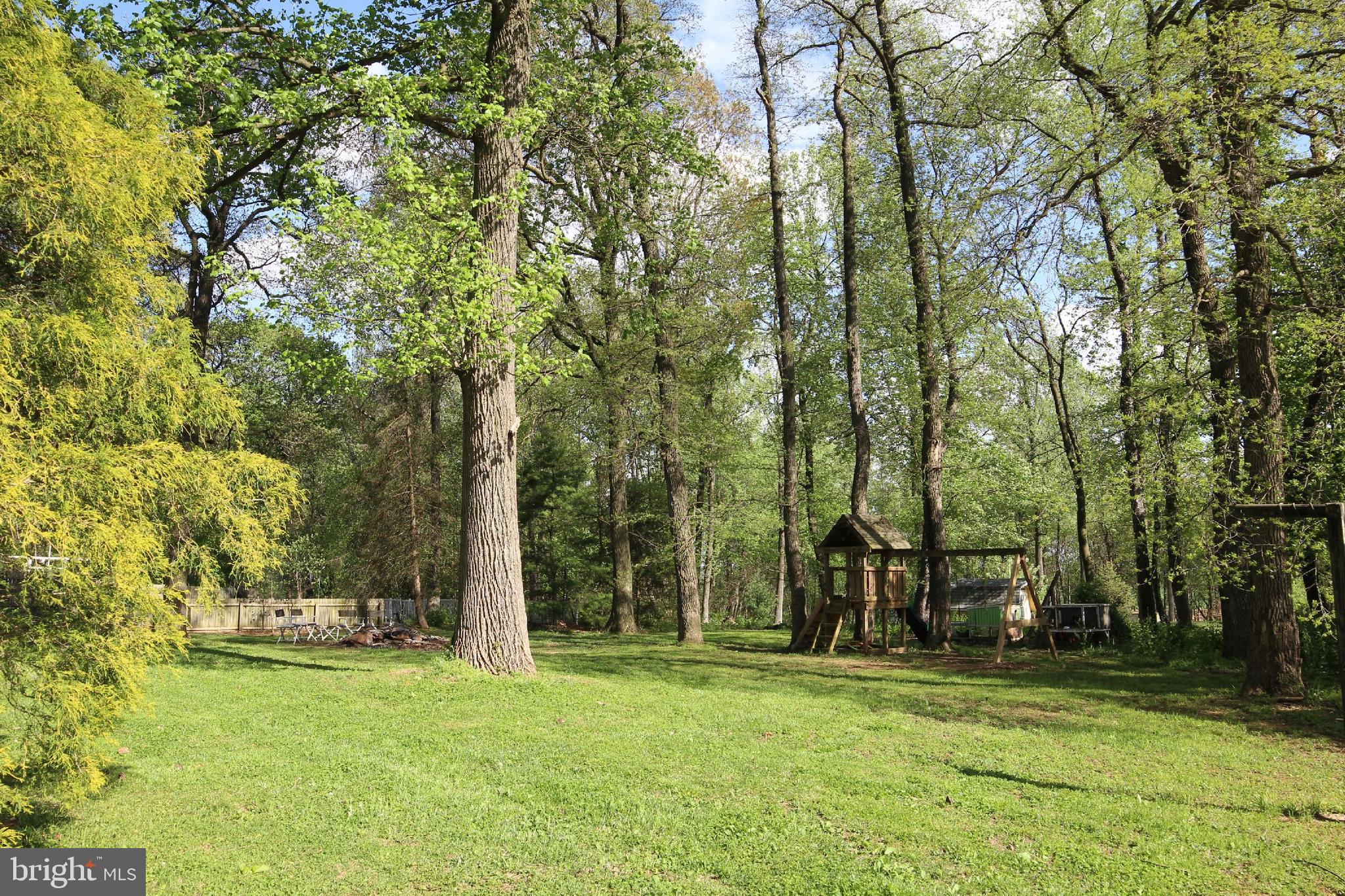 2447 Furnace Road Felton, PA 17322 - Photo 8 of 60 Back Yard