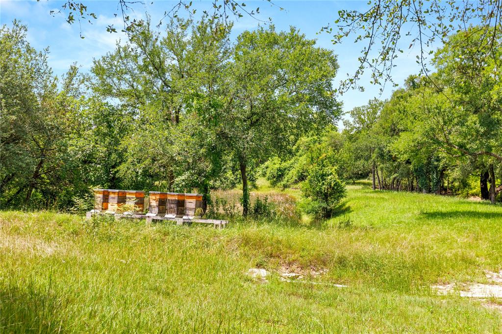 962-oak And Clover Ridge McGregor, TX 76657 - Photo 13 of 32 Gallery Image 13