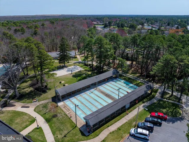 a view of a garden with large trees