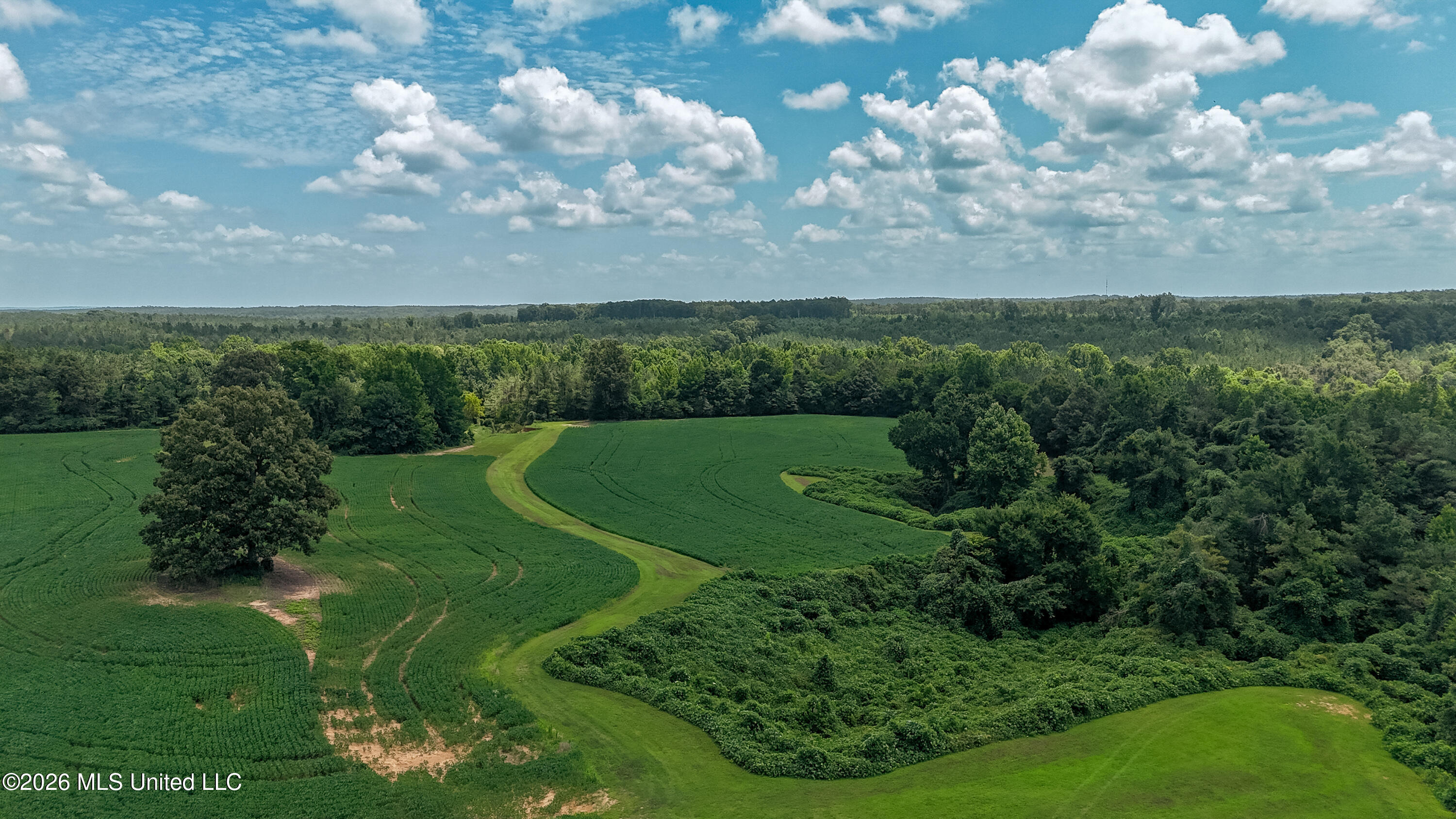 828 Little Egypt Road Ashland, MS 38603 - Photo 68 of 101 DJI_20260630120223_0334_D